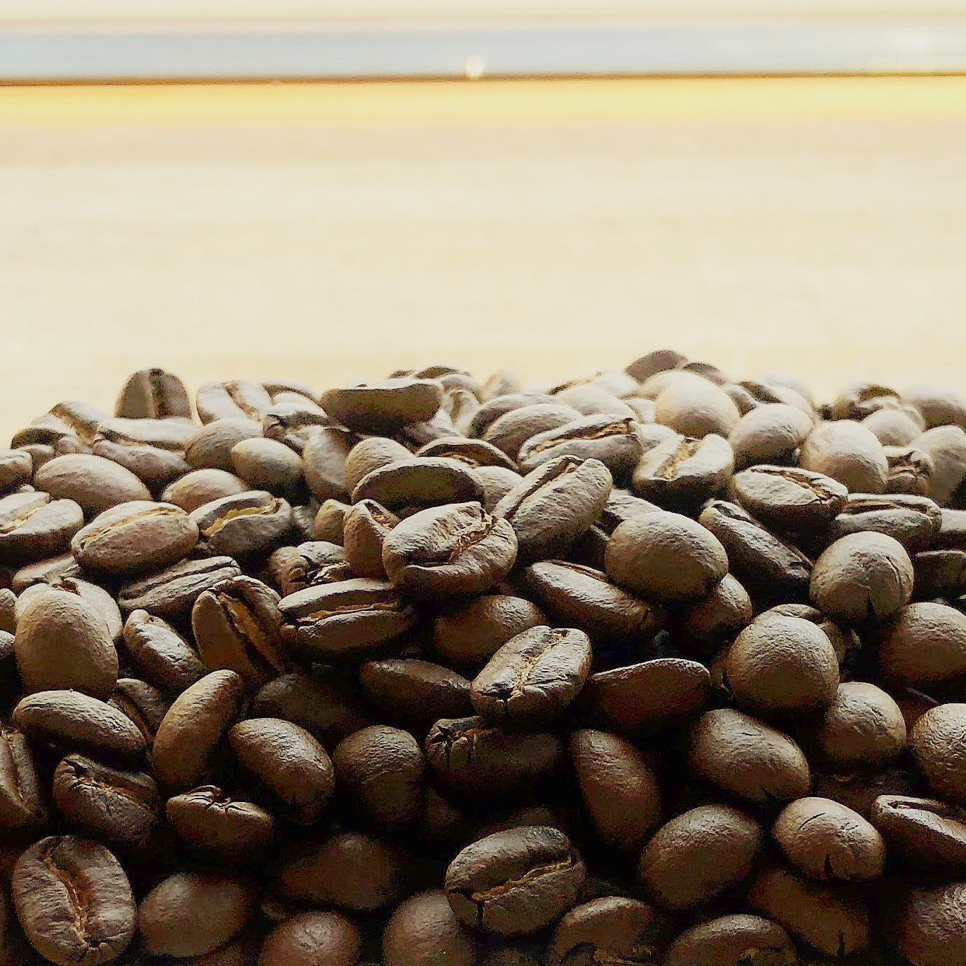 東ティモール・オーガニック