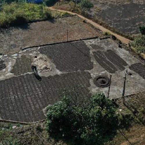 ブラジル ・ジャンガダ・レッドブルボン