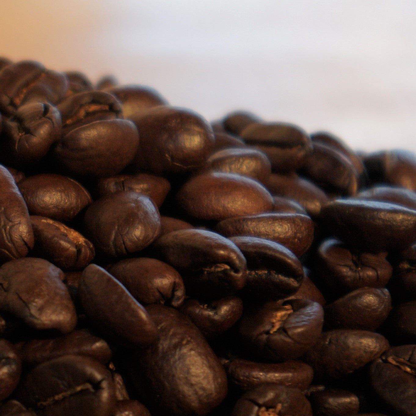 蜂須賀ブレンド – TOKUSHIMA COFFEE WORKS