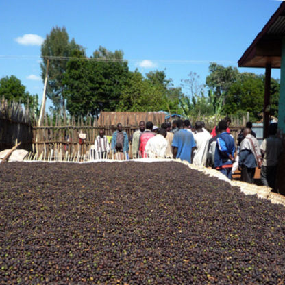 エチオピア・イルガチャフG1・ナチュラル（深煎り）