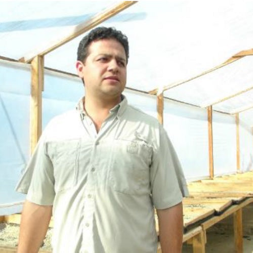 グアテマラ・フロレンシア・ブルボン