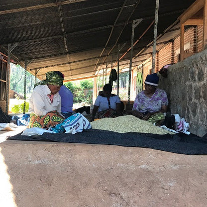 タンザニア・ンゴロンゴロ・ウオシュド