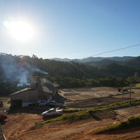 ブラジル・カルモデミナス・イエローブルボン