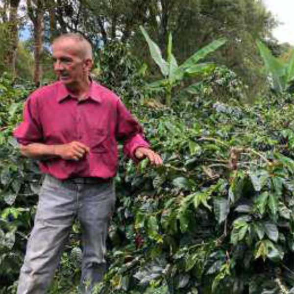 コロンビア・オーガニック