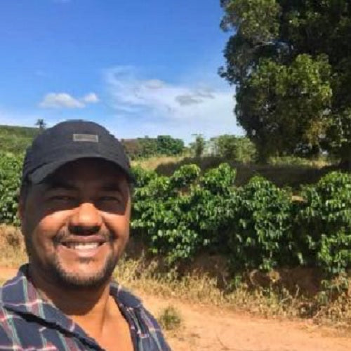 ブラジル ・ジャンガダ・レッドブルボン