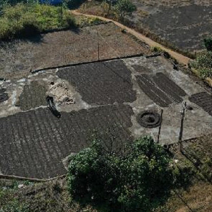 ブラジル ・ジャンガダ・レッドブルボン