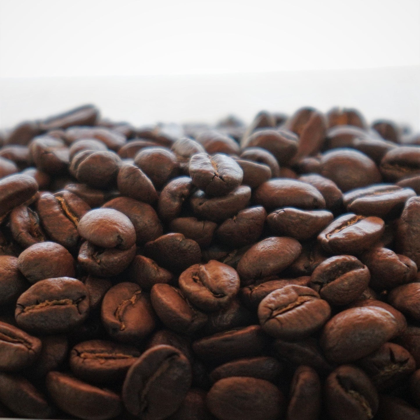 コロンビア・オーガニック