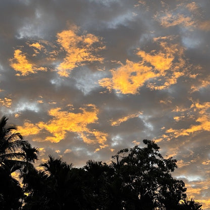 インドネシア・ロングベリー・ナチュラル