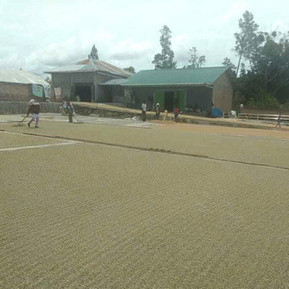 インドネシア ・マンデリン・ポルン・セリブラジャ