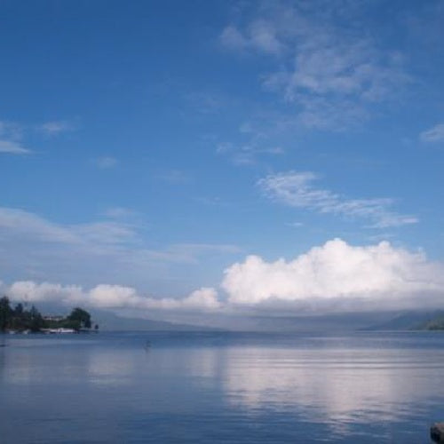 インドネシア ・マンデリン・ウルトラ シナール