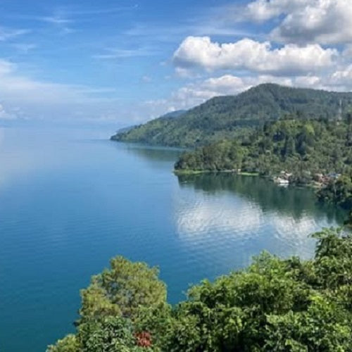 インドネシア ・マンデリン・タイガーマウンテン