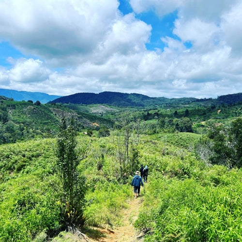 インドネシア・ティピカ・クラシックナチュラル