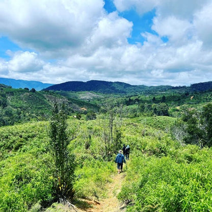 インドネシア・ティピカ・クラシックナチュラル