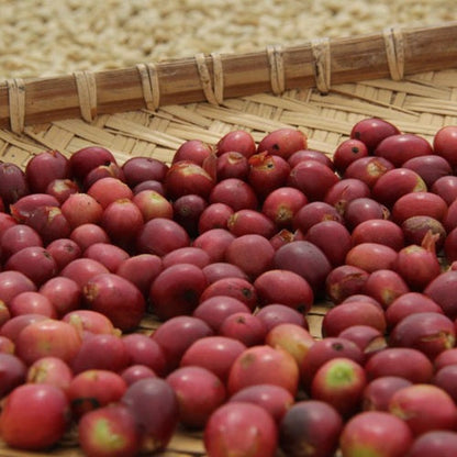 インドネシア・ティピカ・クラシックナチュラル