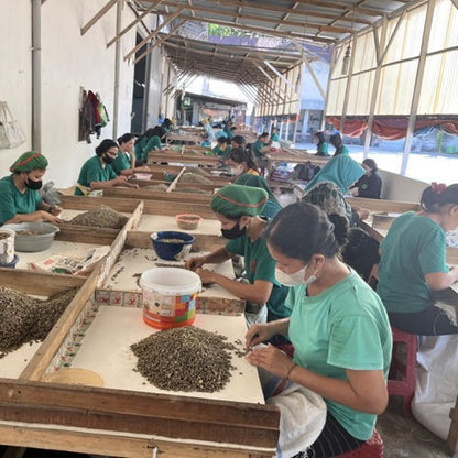 インドネシア・ティピカ・クラシックナチュラル