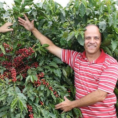 ブラジル・オーガニック