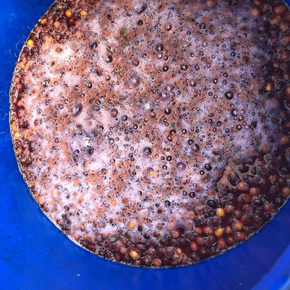 コロンビア・ウシュウシュ・ナチュラル